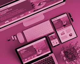 Website Designing Course